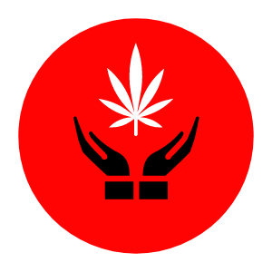 Maine Cannabis Community