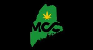 maine cannabis coalition