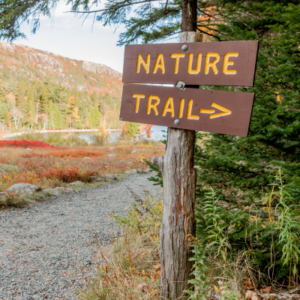 Exploring Maine's Walking Trails