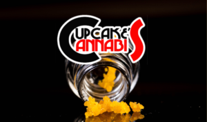 Cannabis Concentrates 101 Navigating Cupcake's Cannabis Selection